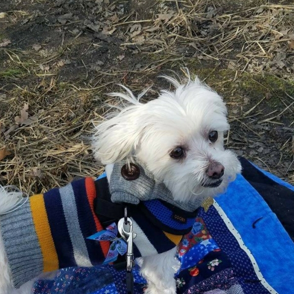 Meet your Posher, Jaime - Picture 4 of 16